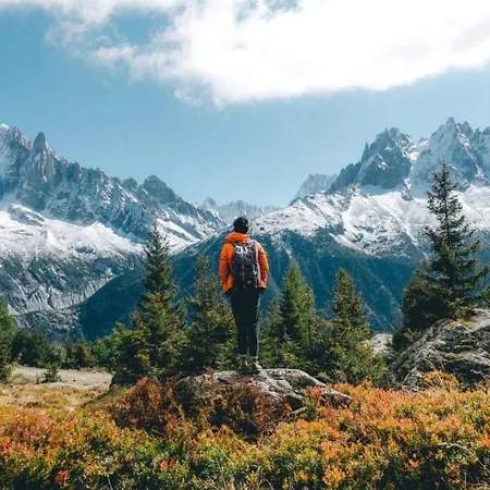 Lägenhet Le Pied Du Brevent - Walk To Lift, Getaway Chamonix